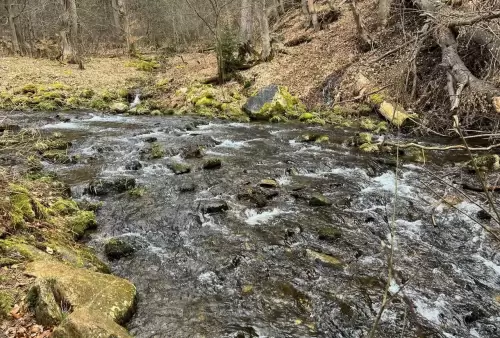 Okolí u vodopádu v Karlově Studánce