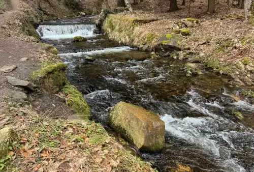 Okolí u vodopádu v Karlově Studánce