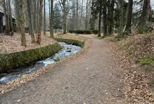 Okolí u vodopádu v Karlově Studánce