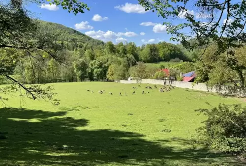 Naučná stezka Hradní vrch v Hukvaldech - obora s daňky a muflony