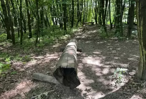 Lesní park v Klimkovicích - překážková dráha