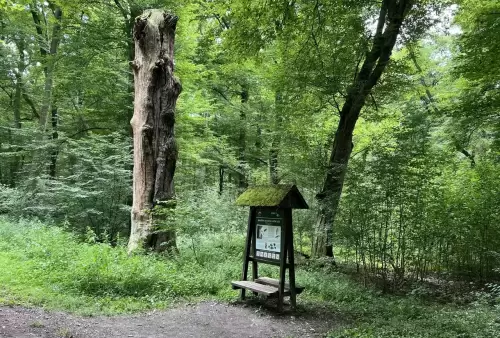 Naučná stezka Lužní les mezi Břeclaví a Lednicí