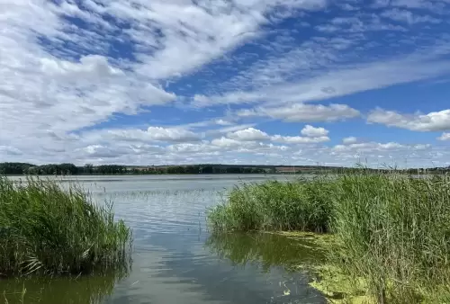 Ornitologická pozorovatelna Lednické rybníky